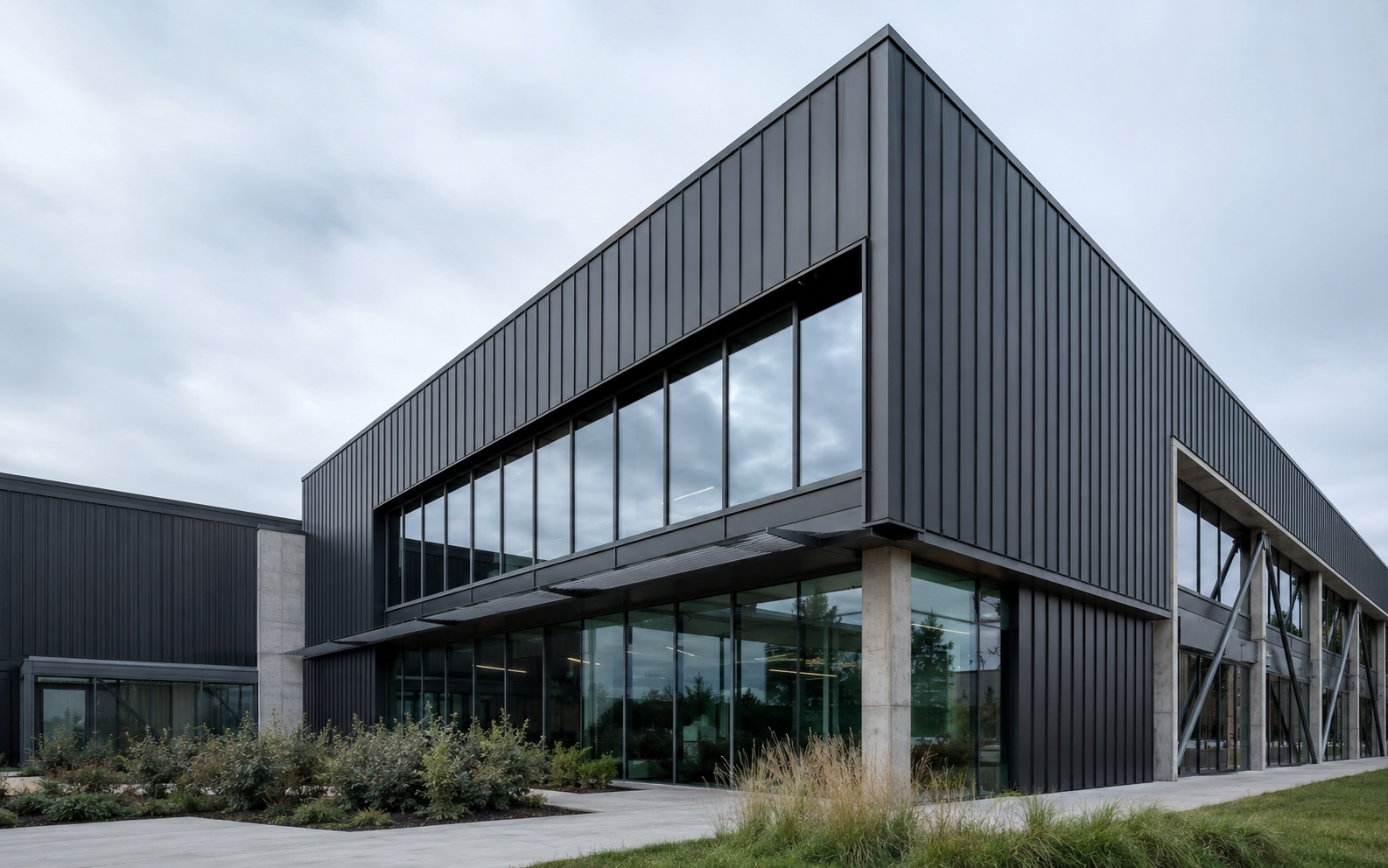 Modern graphite-clad commercial building